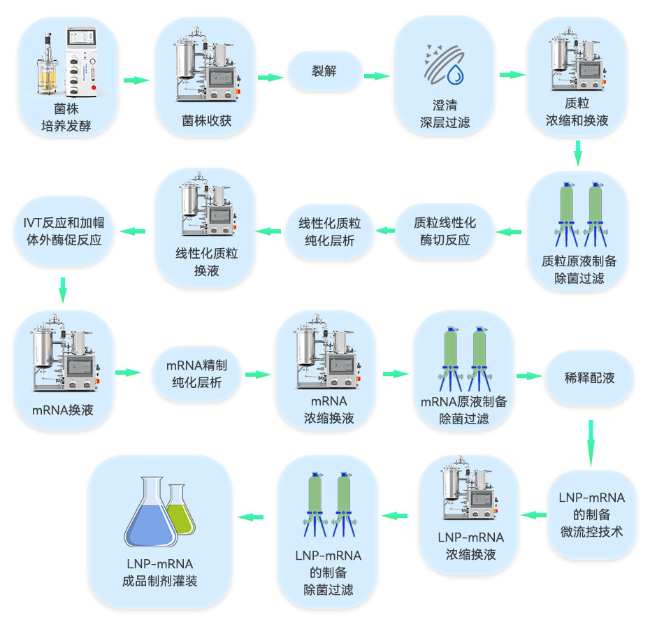 LNP-mRNA成品的工藝流程 LNP-mRNA成品的工藝流程
