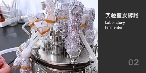實(shí)驗(yàn)室發(fā)酵罐滅菌 實(shí)驗(yàn)室發(fā)酵罐滅菌