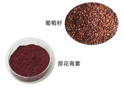 原花青素 原花青素
