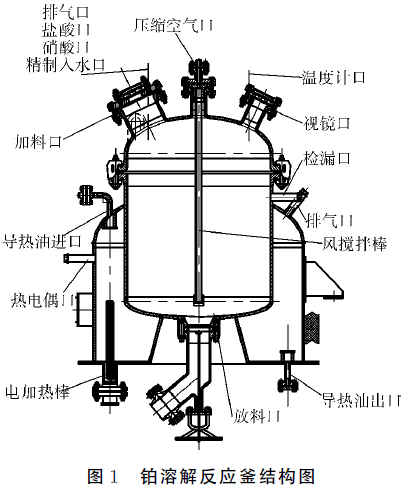 圖1 鉑溶解反應(yīng)釜結(jié)構(gòu)圖